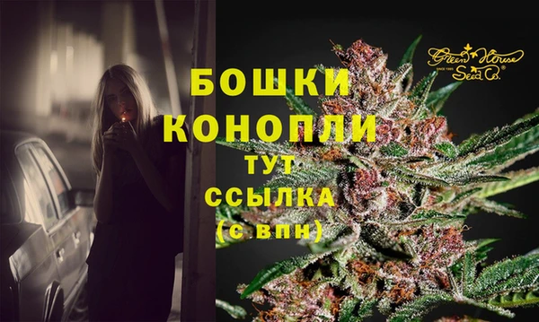 spice Няндома