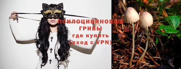 spice Няндома