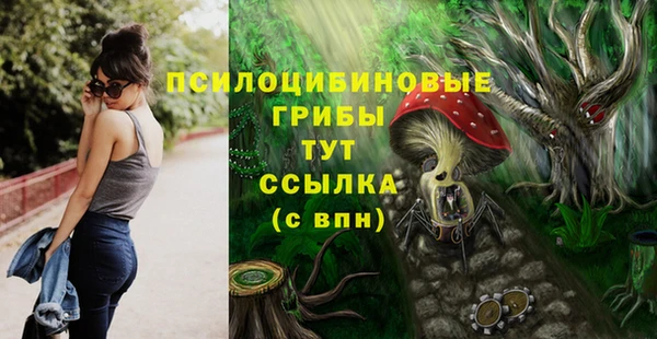 крисы Нефтекумск
