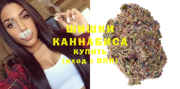 spice Няндома