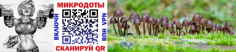 Галлюциногенные грибы MAGIC MUSHROOMS  mega сайт  Камешково 